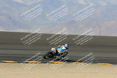 media/Jan-20-2023-Apex Assassins (Fri) [[05880b9d29]]/Trackday 1/Session 2 (Bowl Backside)/